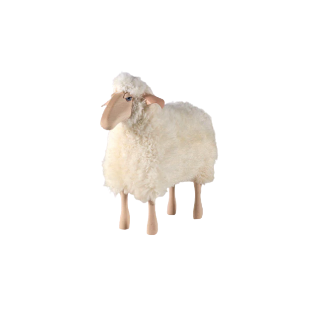 Hanns-Peter Krafft Sheep